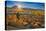 Eastern Sierra II-Mark Geistweite-Premier Image Canvas