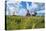 Eau Claire, Wisconsin, Farm and Red Barn in Picturesque Farming Scene-Bill Bachmann-Premier Image Canvas