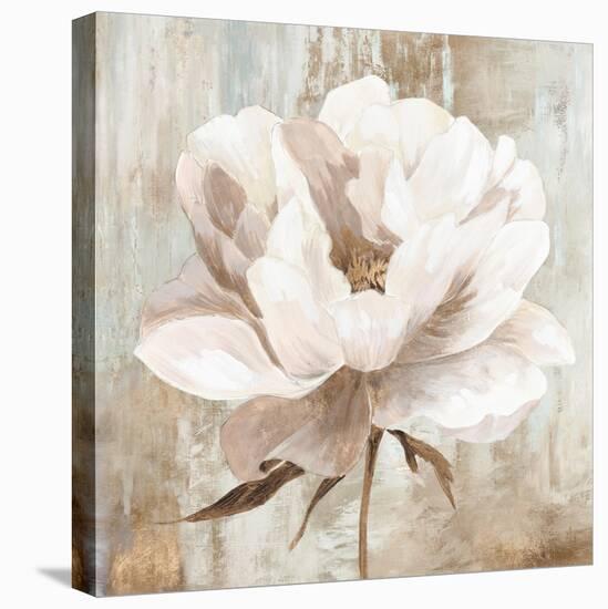 Ebony Floral I-Aria K-Stretched Canvas