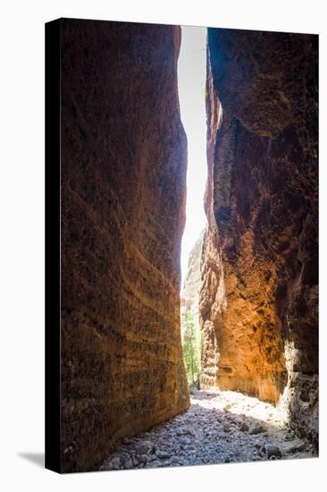 Echidna Chasm-Michael Runkel-Premier Image Canvas