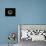 Echinacea Closeup-Lori Hutchison-Premier Image Canvas displayed on a wall