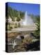 Echinus Geyser, Erupts Every Hour, Norris Basin, Yellowstone National Park, Wyoming, USA-Anthony Waltham-Premier Image Canvas