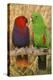 Eclectus Parrot Pair-null-Premier Image Canvas