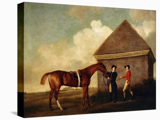 Eclipse', a Dark Chestnut Racehorse, by the Rubbing Down House at Newmarket-George Stubbs-Premier Image Canvas