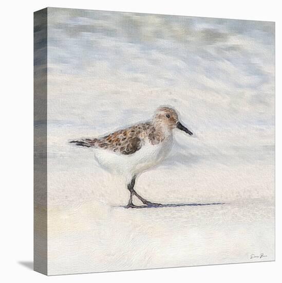 Eclipsed Sandpiper-Denise Brown-Stretched Canvas