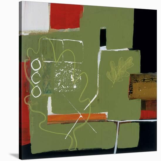 Eco Dream II-Leslie Bernsen-Stretched Canvas