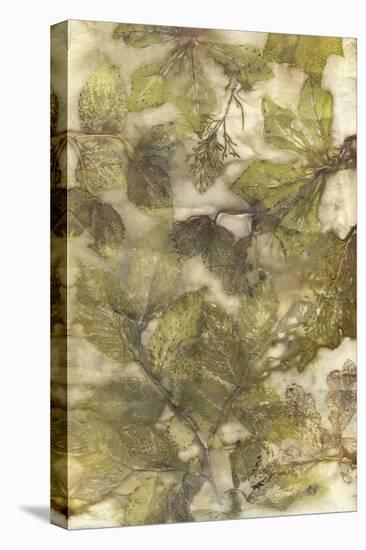 Eco Print III-Kathryn Phillips-Stretched Canvas