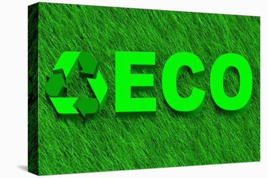 Eco Word over Green Grass-marphotography-Stretched Canvas