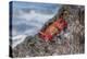 Ecuador, Galapagos Islands, Isabela, Urvina Bay, Sally Lightfoot Crab on a Rock-Ellen Goff-Premier Image Canvas