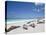 Ecuador, Galapagos, Sunbathing Sea Lions on the Stunning Beaches of San Cristobal, Galapagos-Niels Van Gijn-Premier Image Canvas