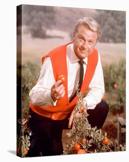 Eddie Albert - Green Acres-null-Stretched Canvas