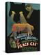 Edgar Allan Poe’s The Black Cat - Starring Boris Karloff, Bela Lugosi, Vintage Movie Poster, 1934-Pacifica Island Art-Stretched Canvas