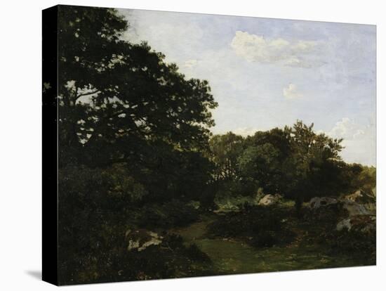 Edge of the Forest in Fountainbleau, c.1865-Frederic Bazille-Premier Image Canvas