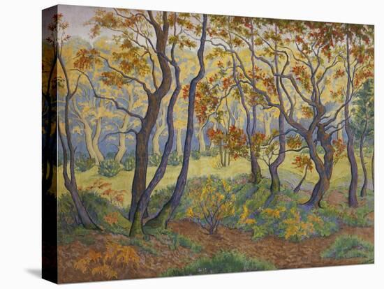 Edge of the Forest-Paul Ranson-Premier Image Canvas