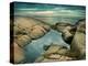 Edge of Time-Irene Suchocki-Premier Image Canvas