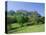 Edinburgh Castle and Gardens, Edinburgh, Lothian, Scotland, UK, Europe-Roy Rainford-Premier Image Canvas