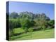 Edinburgh Castle and Gardens, Edinburgh, Lothian, Scotland, UK, Europe-Roy Rainford-Premier Image Canvas