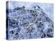 Edinburgh City Street Map-Michael Tompsett-Stretched Canvas