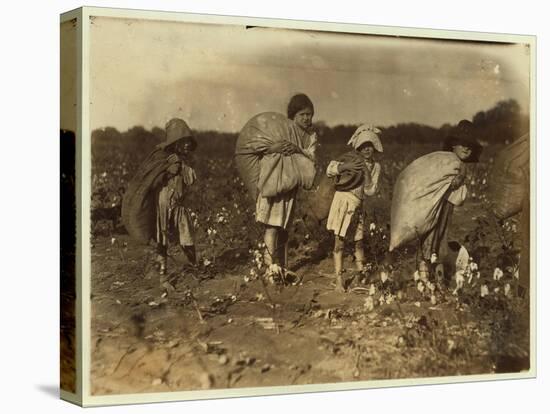 Edith 5 and Hughie 6 Pick Cotton All Day-Lewis Wickes Hine-Premier Image Canvas