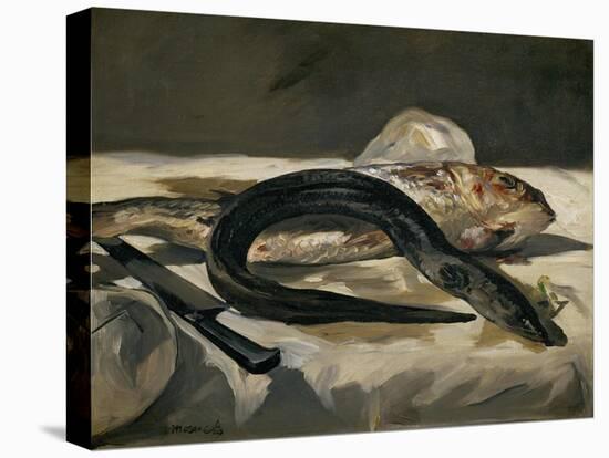 Eel and Red Mullet, 1864-Edouard Manet-Premier Image Canvas