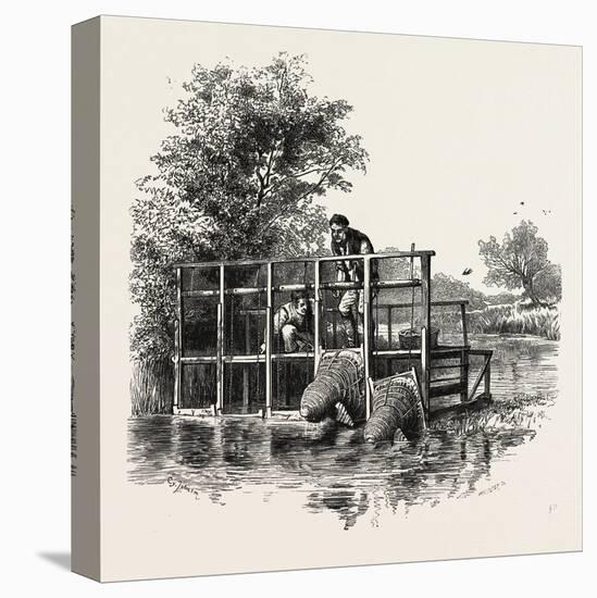 Eel Bucks on the Thames, Scenery of the Thames, UK, 19th Century-null-Premier Image Canvas