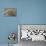 Een Schip met coren gheladen blyft op een drooghte Sitten; de Duytschen pooghent naer hen te trecke-Antonio Tempesta-Premier Image Canvas displayed on a wall