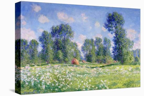 Effect of Spring, Giverny, 1890-Claude Monet-Premier Image Canvas