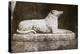 Effigy of Sir Walter Scott's Favourite Dog, Maida-William Henry Fox Talbot-Premier Image Canvas