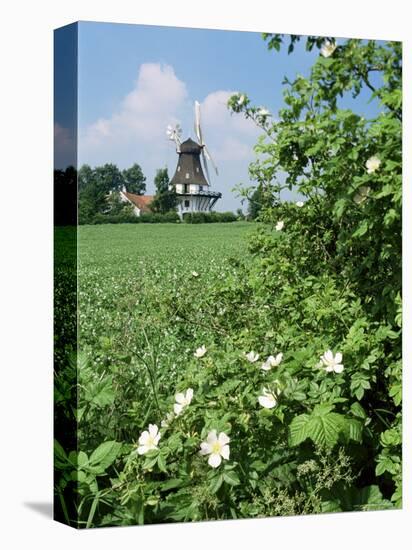 Egeskov Mill, Funen, Denmark, Scandinavia-Adam Woolfitt-Premier Image Canvas