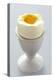 Egg in Egg Cup-Eising Studio - Food Photo and Video-Premier Image Canvas