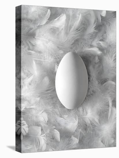 Egg on Feathers, Conceptual Image-Biddle Biddle-Premier Image Canvas