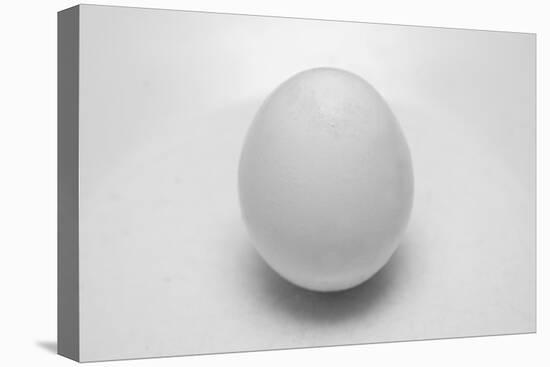 Egg-John Gusky-Premier Image Canvas