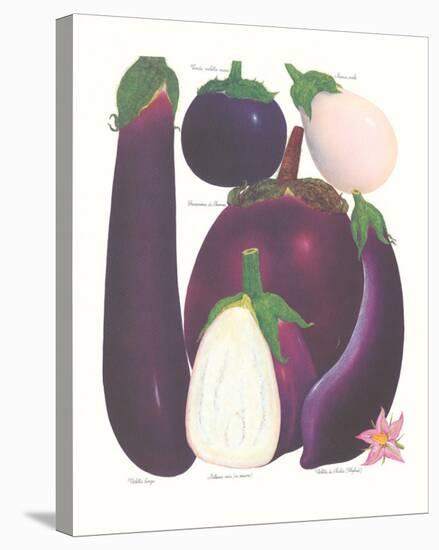 Eggplant-null-Stretched Canvas