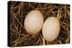 Eggs I-Karyn Millet-Premier Image Canvas