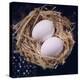 Eggs-Cristina-Premier Image Canvas