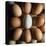 Eggs-Tek Image-Premier Image Canvas