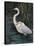 Egrets On Blue-Robertson-Stretched Canvas