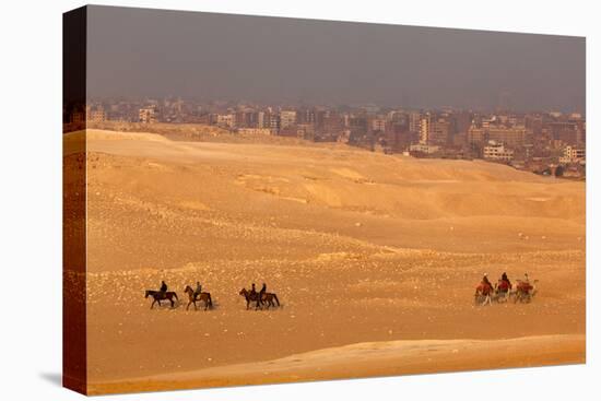 Egypt, Cairo, Giza, Evening Light, Camels and Horses-Catharina Lux-Premier Image Canvas