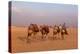 Egypt, Cairo, Pyramids of Gizeh, Cameleer-Catharina Lux-Premier Image Canvas