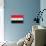 Egypt Flag Design with Wood Patterning - Flags of the World Series-Philippe Hugonnard-Stretched Canvas displayed on a wall