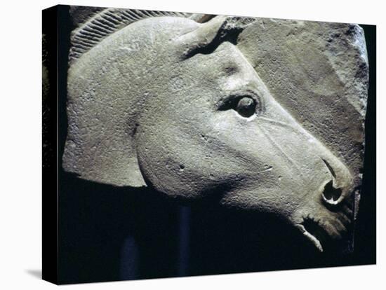 Egyptian relief of a horse's head. Artist: Unknown-Unknown-Premier Image Canvas