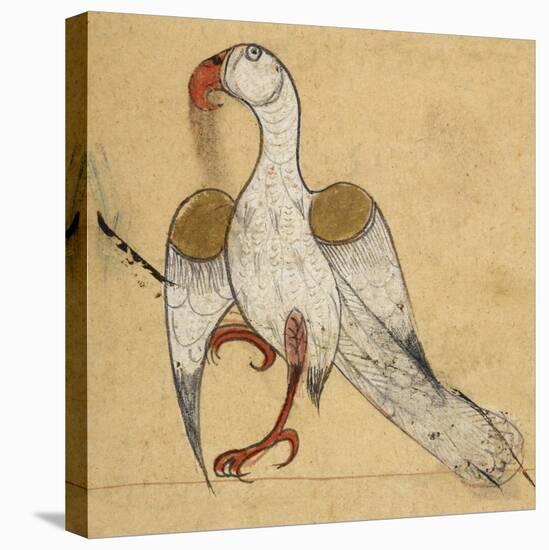 Egyptian Vulture-Aristotle ibn Bakhtishu-Premier Image Canvas