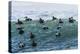 Eider ducks floating on waves, Iceland-Konrad Wothe-Premier Image Canvas