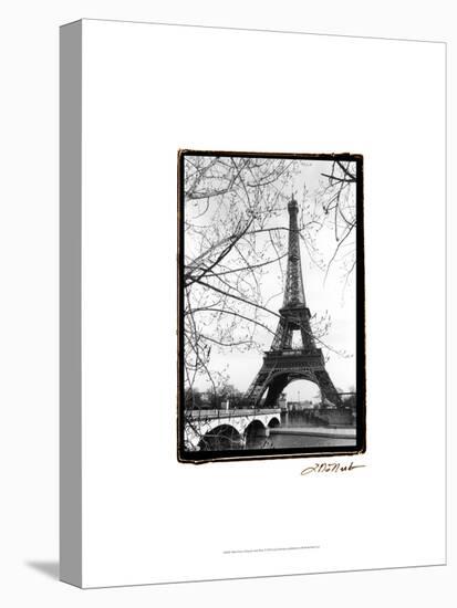 Eiffel Tower Along the Seine River-Laura Denardo-Stretched Canvas