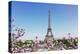 Eiffel Tower and Paris Cityscape-neirfy-Premier Image Canvas