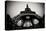 Eiffel Tower Fisheye-Erin Berzel-Premier Image Canvas