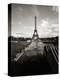 Eiffel Tower, Paris, France-Murat Taner-Premier Image Canvas