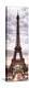 Eiffel Tower, Paris, France-Philippe Hugonnard-Premier Image Canvas