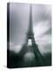 Eiffel Tower, Paris, Ile-De-France, France-Mark Newman-Premier Image Canvas