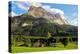 Eiger, Grindelwald, Bernese Oberland, Canton of Bern, Switzerland, Europe-Hans-Peter Merten-Premier Image Canvas